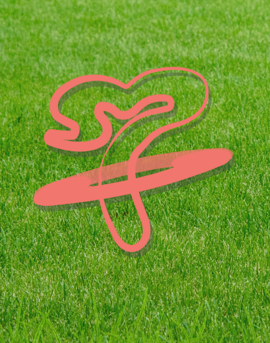 Untitled design-15.png__PID:525588f8-91e3-4cfb-a3d3-1e18ece66dc0